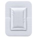 AF MEDI DETOX FOOT PATCH - 10 PATCHES - WORMWOOD