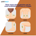 AirFIt Medi Detox Foot Patch - 10 patches - Ginger